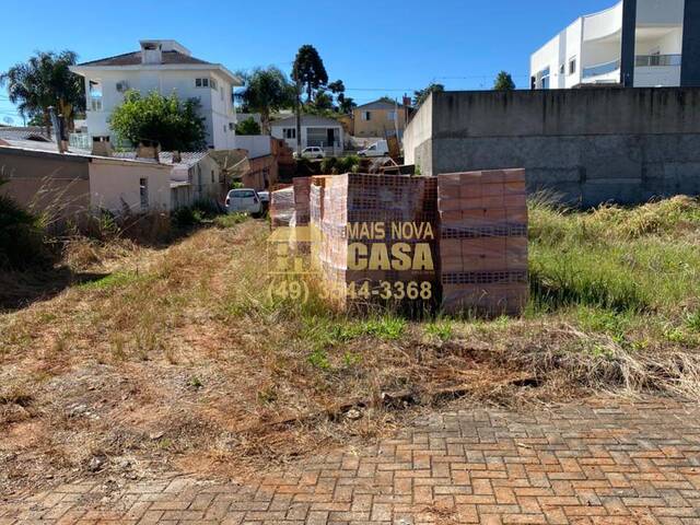 #58738847 - Área para Venda em Campos Novos - SC - 3