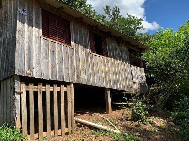Chácara para Venda em Campos Novos - 4