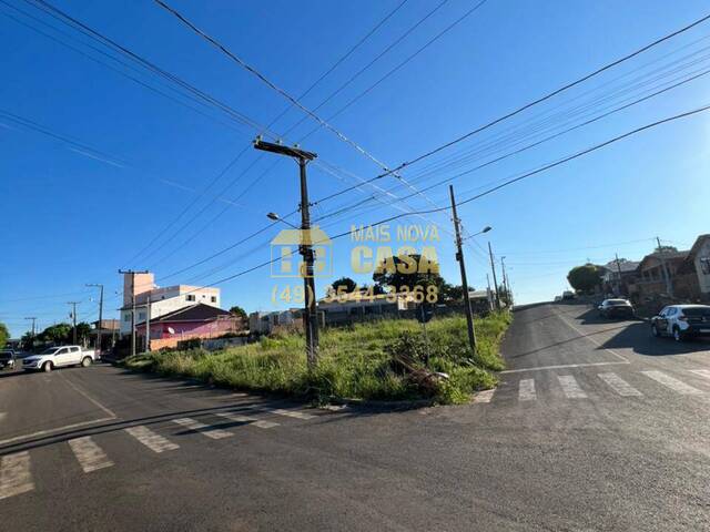 Área para Venda em Campos Novos - 4