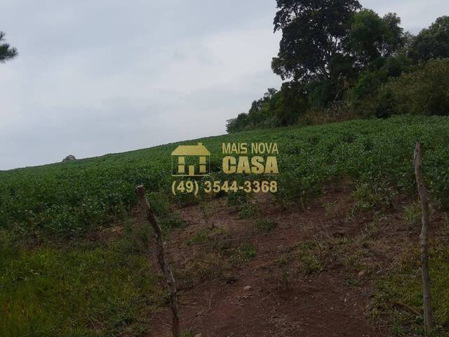 para em - 4