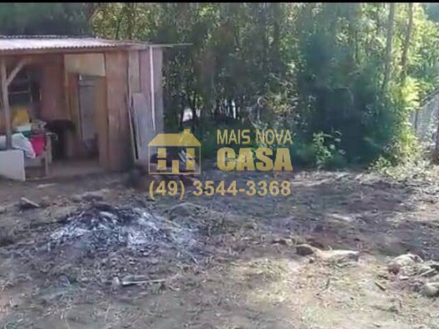 #58738968 - Chácara para Venda em Campos Novos - SC - 3