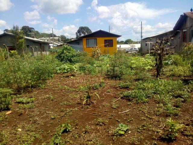 #58738986 - Casa para Venda em Monte Carlo - SC - 2