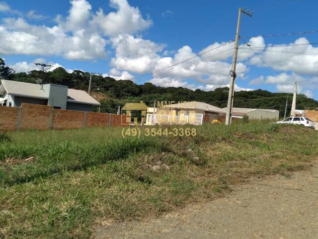 Área para Venda em Campos Novos - 4
