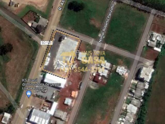 #58739019 - Terreno para Locação em Campos Novos - SC - 1