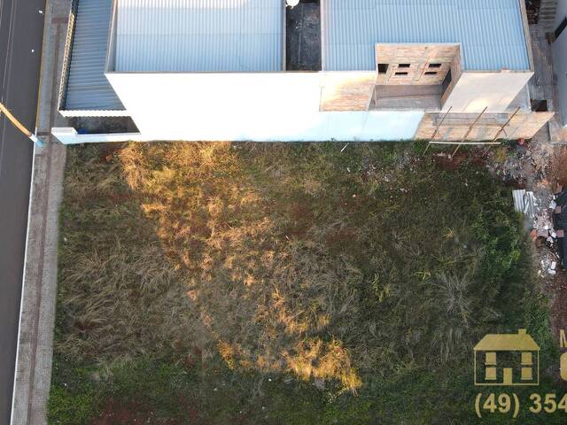 Área para Locação em Campos Novos - 4