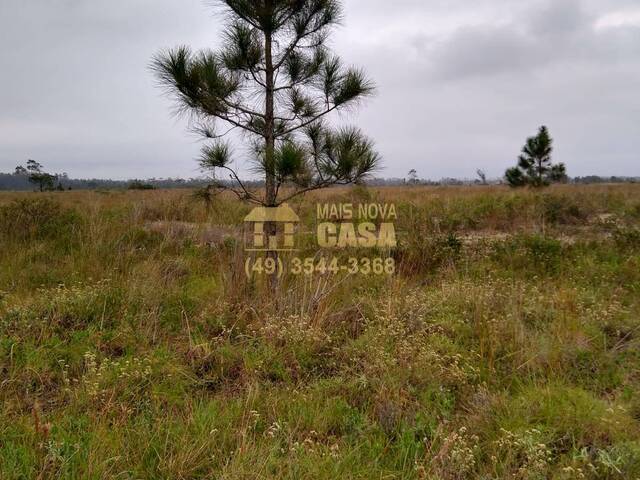 #58739007 - Área para Venda em Balneário Gaivota - SC - 3