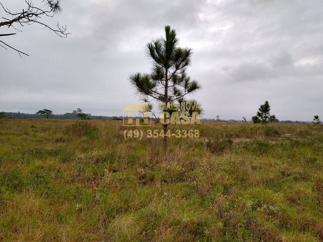 #58739007 - Área para Venda em Balneário Gaivota - SC - 2
