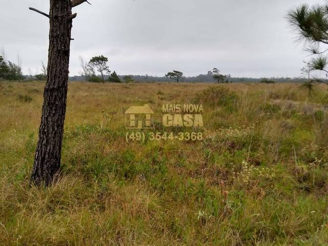 Área para Venda em Balneário Gaivota - 4