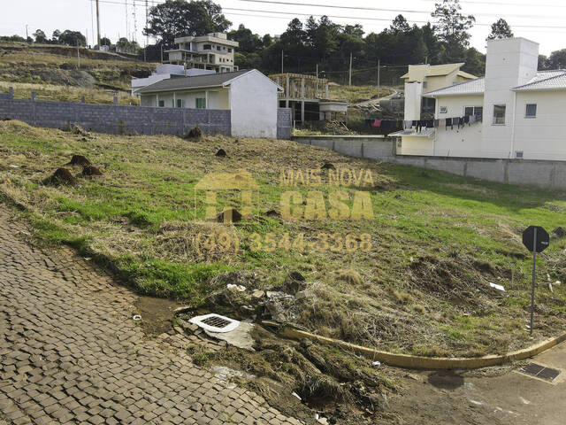 #58738813 - Área para Venda em Campos Novos - SC