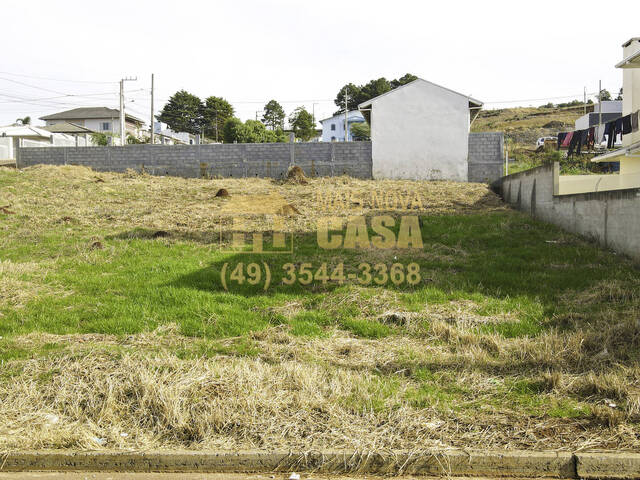 Área para Venda em Campos Novos - 4