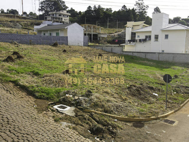 Área para Venda em Campos Novos - 5