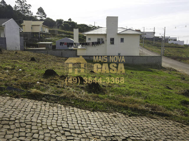 #58738814 - Área para Venda em Campos Novos - SC - 2