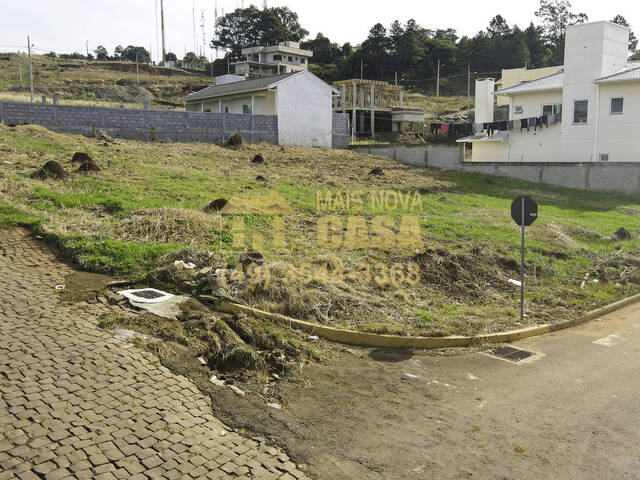 #58738814 - Área para Venda em Campos Novos - SC - 3