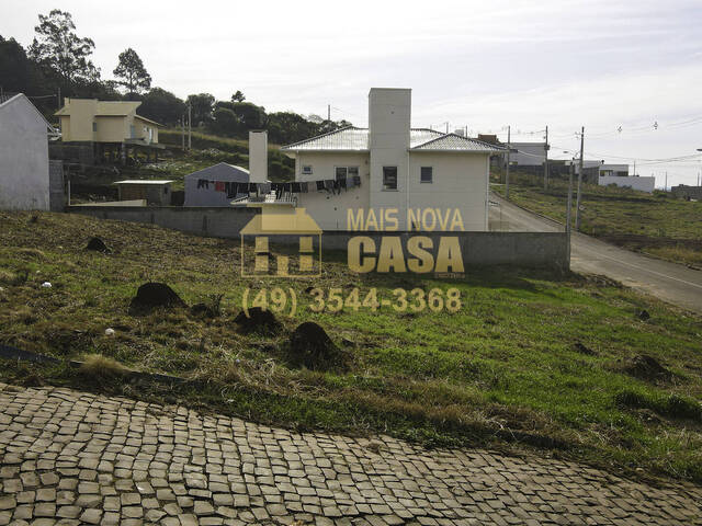 Área para Venda em Campos Novos - 4
