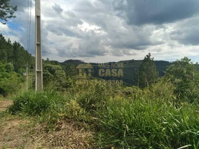 #58739131 - Chácara para Venda em Campos Novos - SC - 1