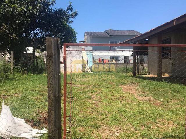 #58739155 - Área para Venda em Campos Novos - SC - 3