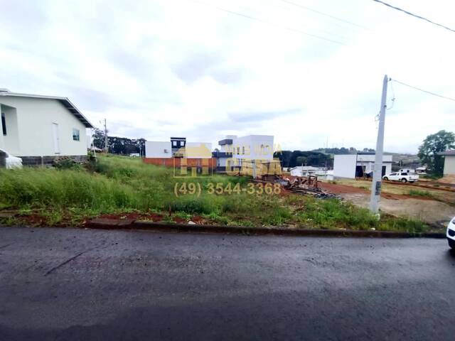 #58739176 - Área para Venda em Campos Novos - SC - 2