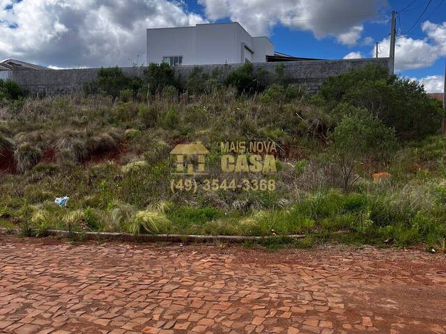 #58739223 - Área para Venda em Campos Novos - SC - 2