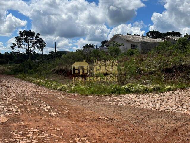 #58739224 - Área para Venda em Campos Novos - SC - 3