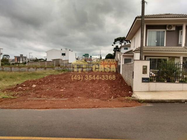Terreno para Venda em Campos Novos - 4