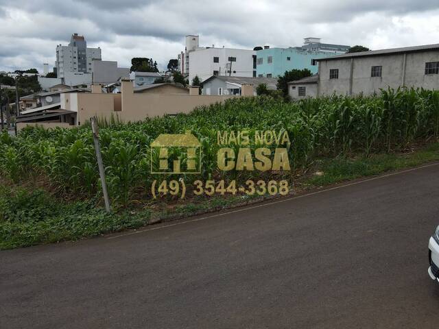 Terreno para Venda em Campos Novos - 5