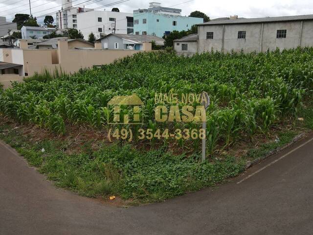 Terreno para Venda em Campos Novos - 4