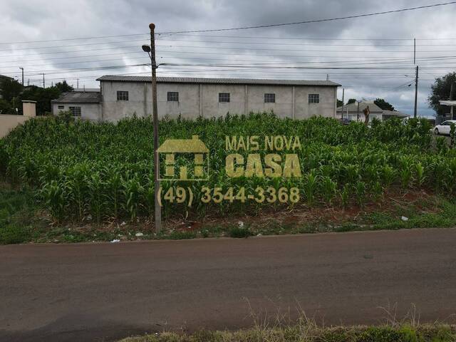 Terreno para Venda em Campos Novos - 5