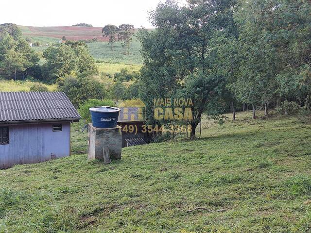 #58738777 - Chácara para Venda em Fraiburgo - SC - 2