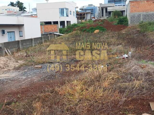 #58739292 - Área para Venda em Campos Novos - SC - 2