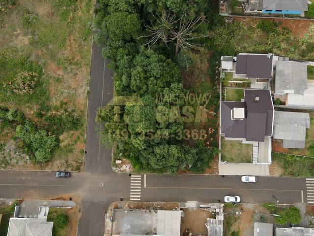 #58739446 - Área para Venda em Campos Novos - SC - 3