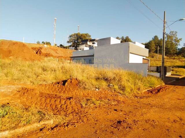 Área para Venda em Campos Novos - 3