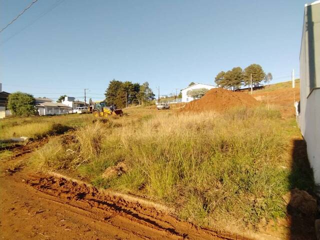 Área para Venda em Campos Novos - 4