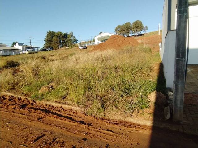 Área para Venda em Campos Novos - 2