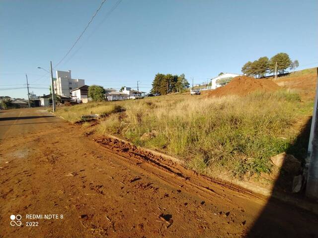 Área para Venda em Campos Novos - 5