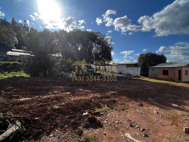 Área para Venda em Campos Novos - 4