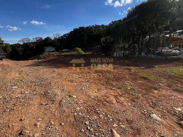 #58739487 - Área para Venda em Campos Novos - SC - 3