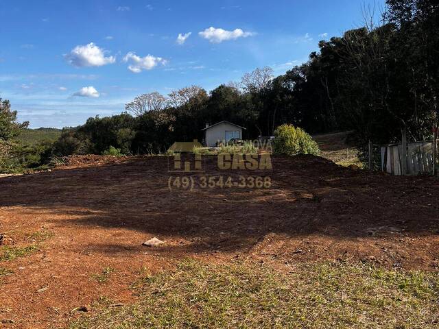 Área para Venda em Campos Novos - 5