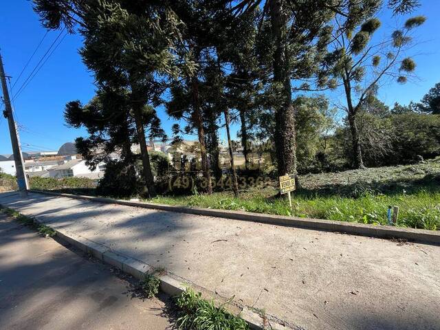 Área para Venda em Campos Novos - 4