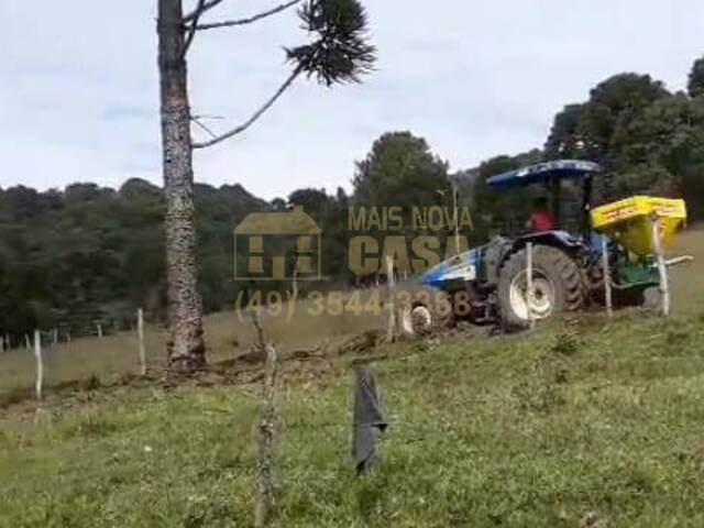 Chácara para Venda em Anita Garibaldi - 4
