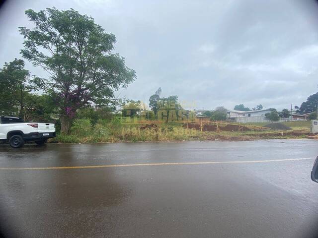 #58739573 - Área para Venda em Campos Novos - SC - 3
