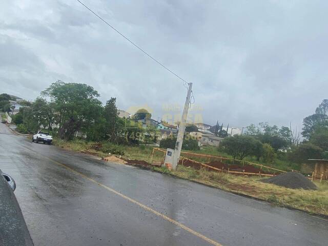 Área para Venda em Campos Novos - 4