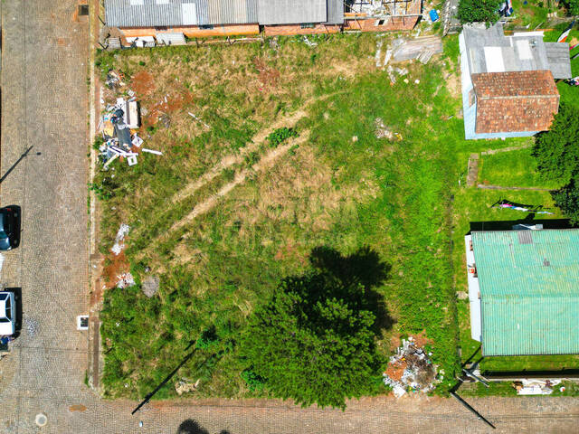 #58739603 - Área para Venda em Campos Novos - SC - 2