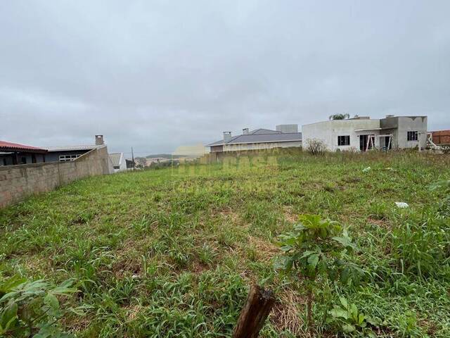 Área para Venda em Campos Novos - 4