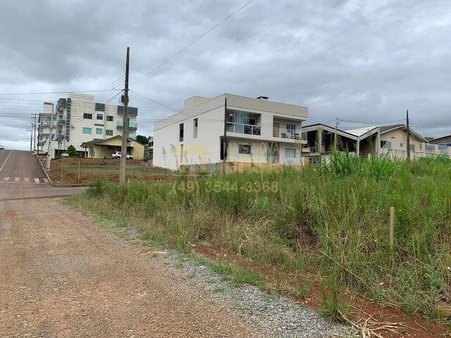 #58739626 - Área para Venda em Campos Novos - SC