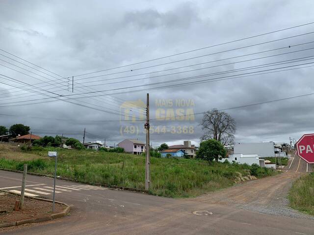#58739626 - Área para Venda em Campos Novos - SC