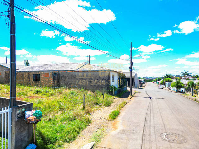 Área para Venda em Campos Novos - 4