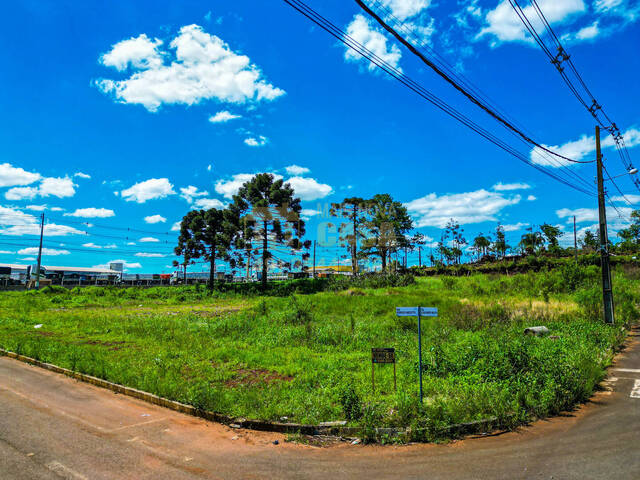 Área para Venda em Campos Novos - 2