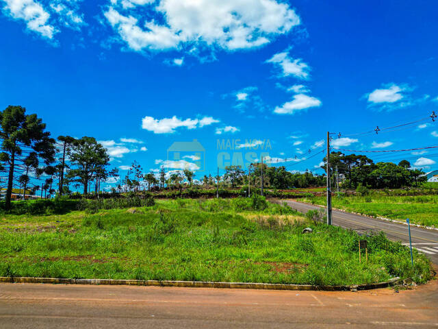 Área para Venda em Campos Novos - 3