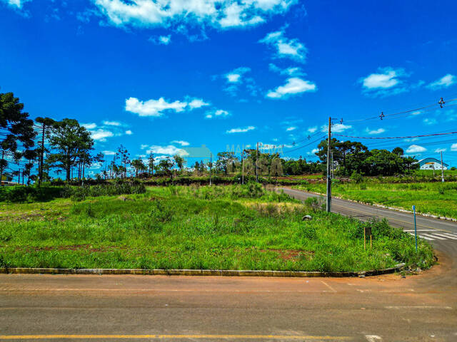 Área para Venda em Campos Novos - 4