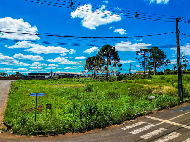 Área para Venda em Campos Novos - 5